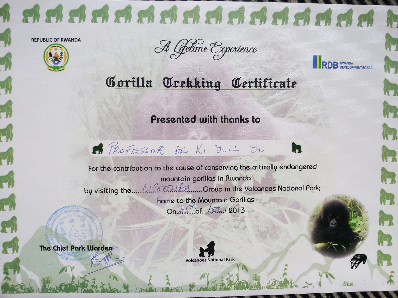 고릴라관광증명서20131227_150200.jpg