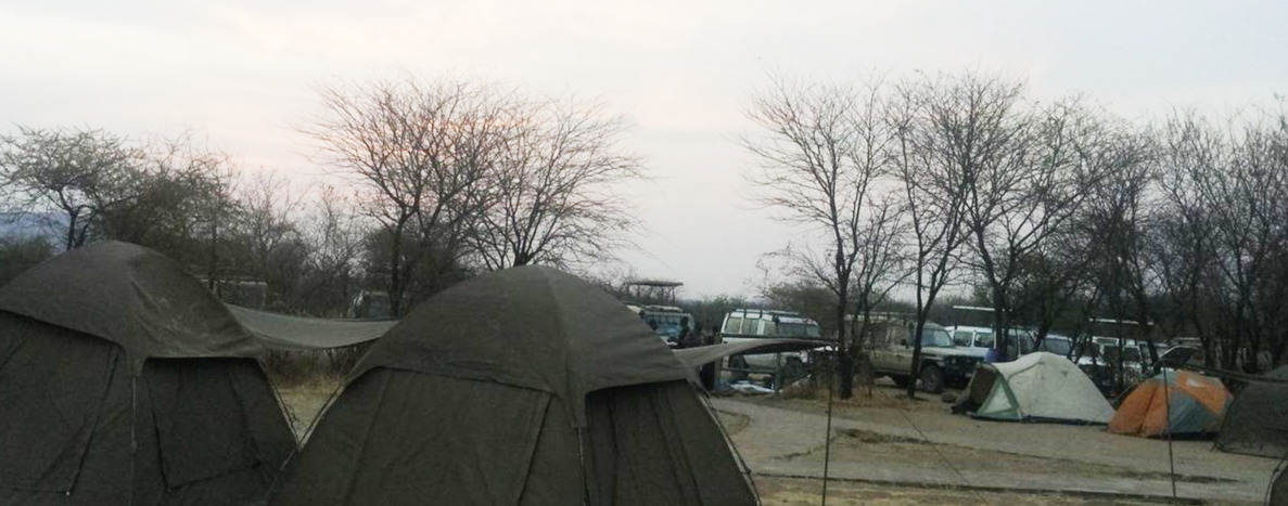 세렝게티 캠프장의 탠트 일부와 사파리용 차량들2013-07-29 18.48.02.jpg