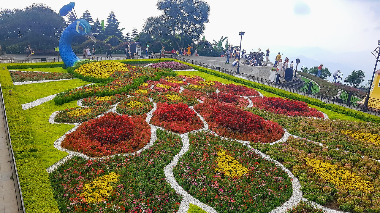 10. 에덴정원, 20190501_111154-EFFECTS.jpg