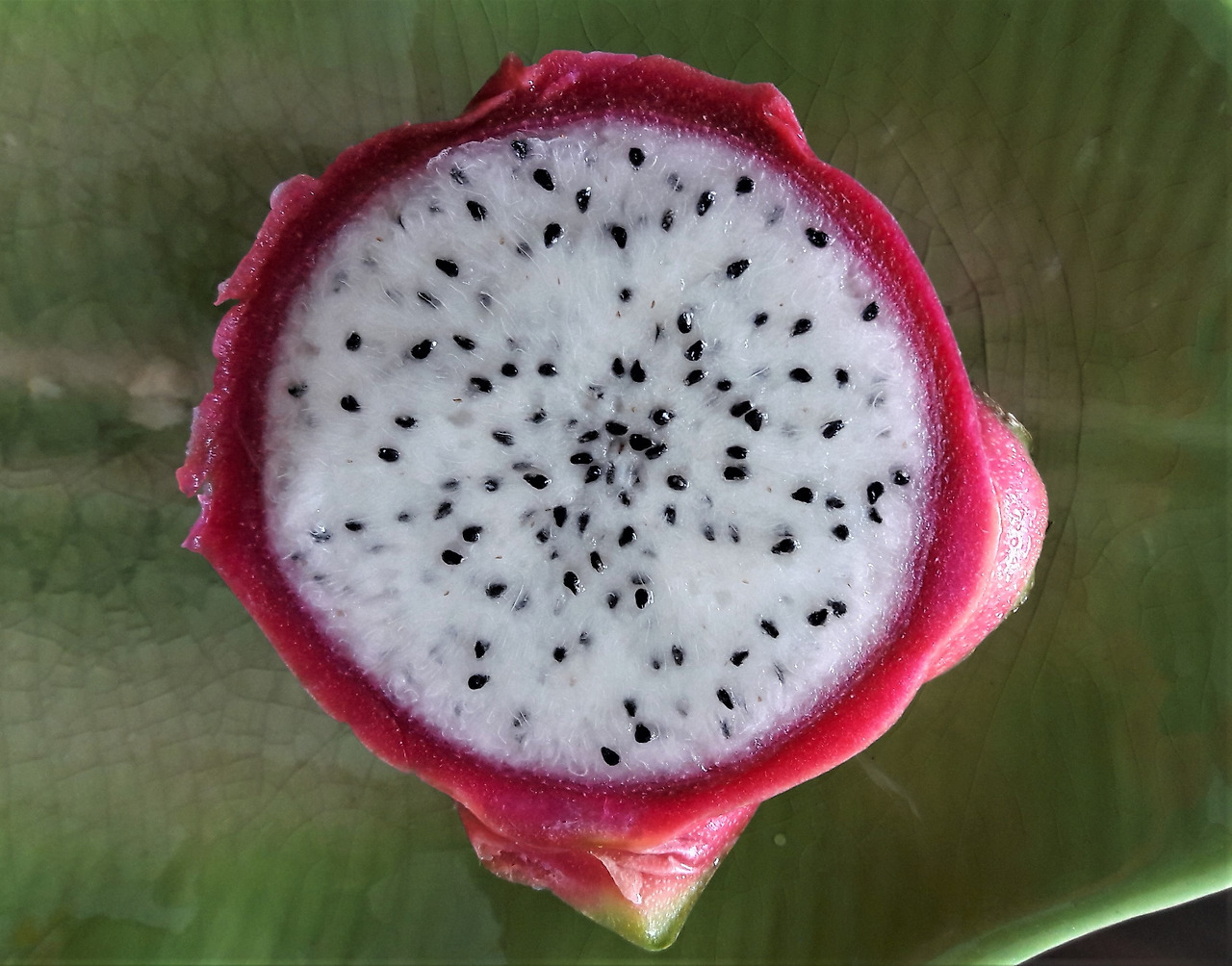 2. 흰용과 횡단면과 씨, 20171021_105729 (2).jpg