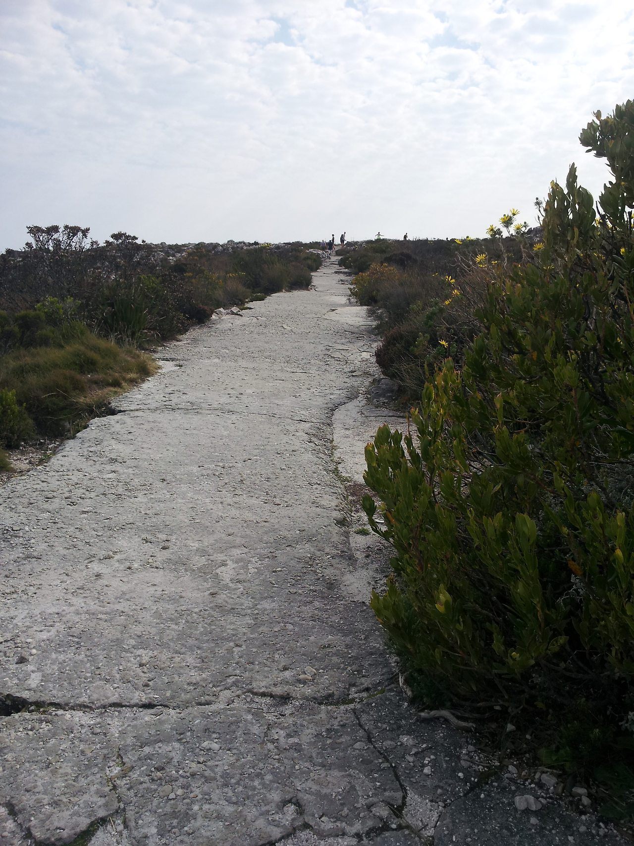 정상에 난 산책로의 하나.jpg