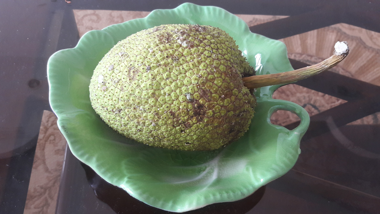 열매20180210_084751 (1).jpg