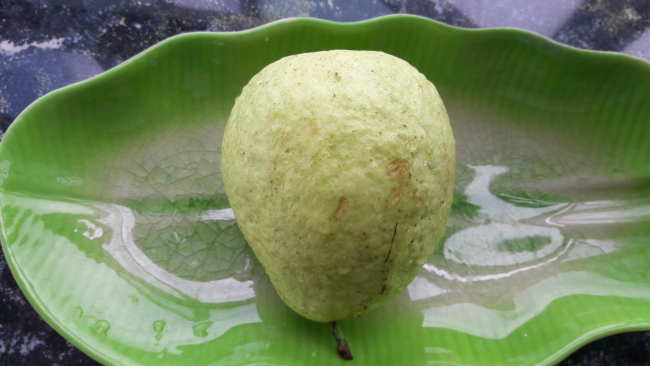 4.열매, 20170916_110737.jpg