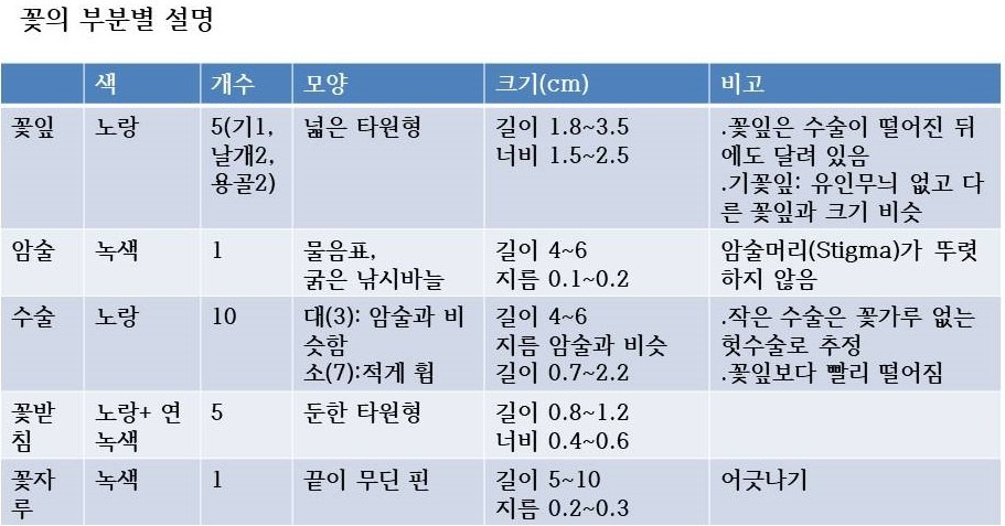 2. 꽃의 부분별 설명.jpg
