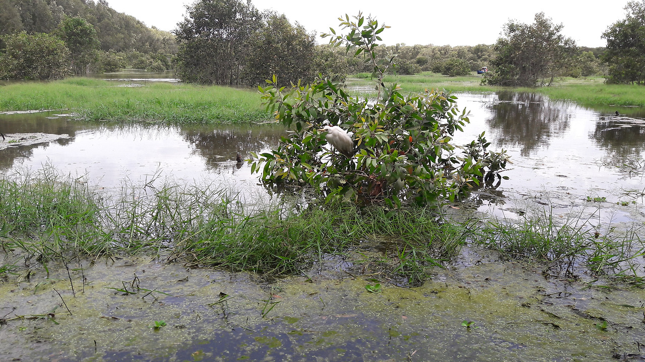 1. 안장도 쩌독 짜스, 20180901_125605.jpg