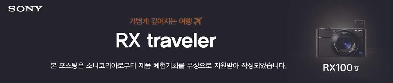 블로그 필수 삽입 문구_RX100 V 부문.jpg