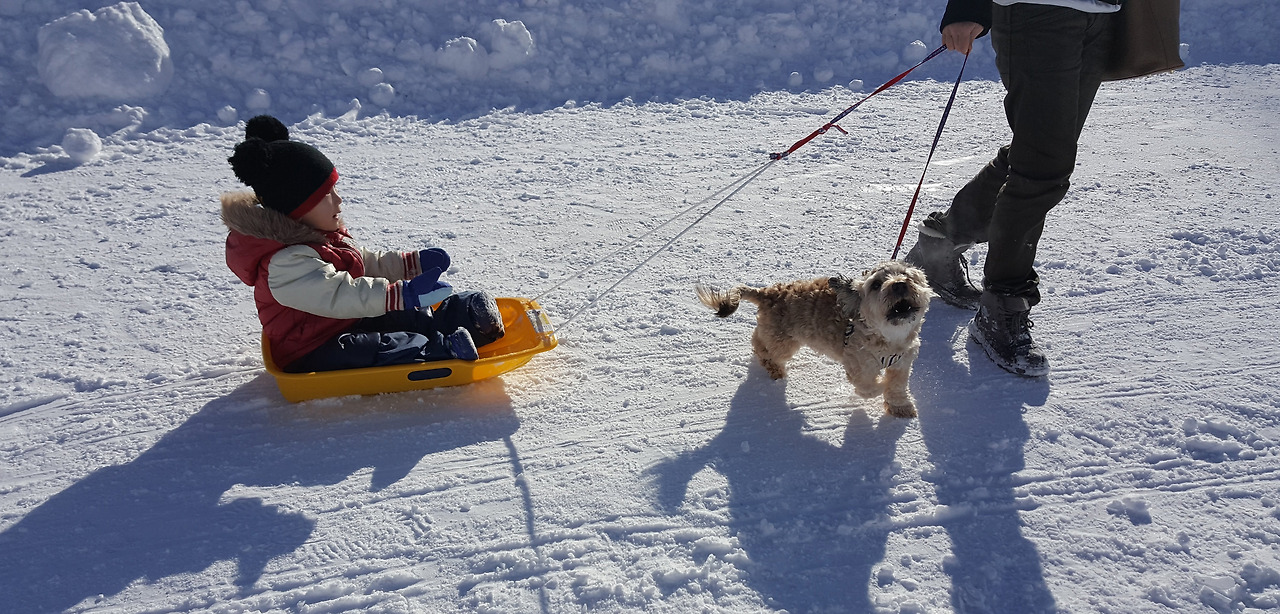 20171230_122458 (1).jpg