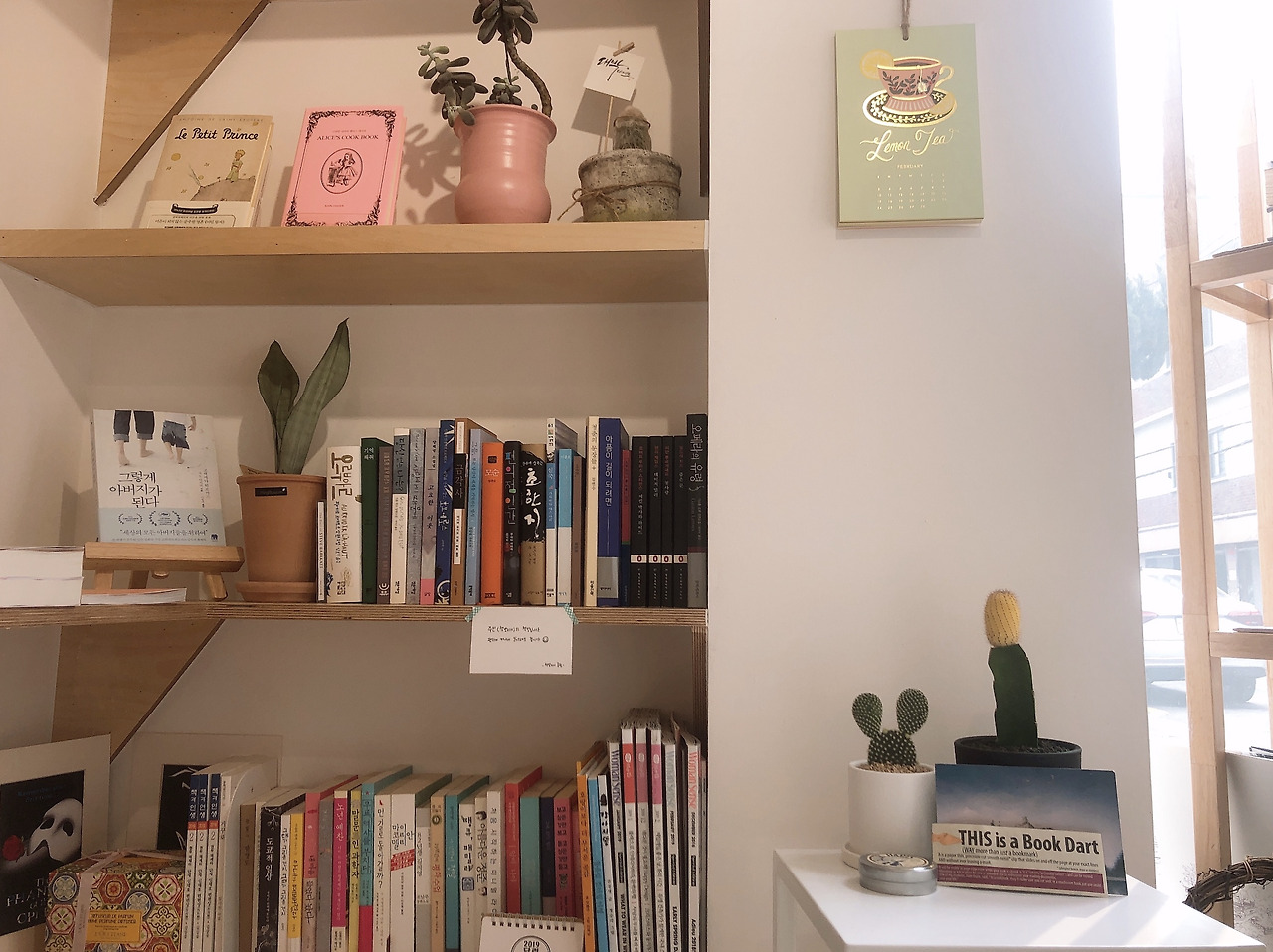 그책다 책방지기 책장_창가.jpg