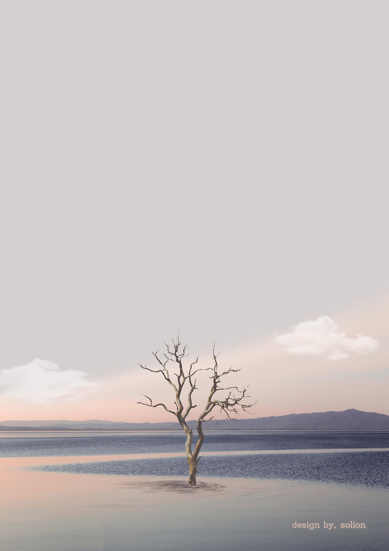 구름꽃 연작2.jpg