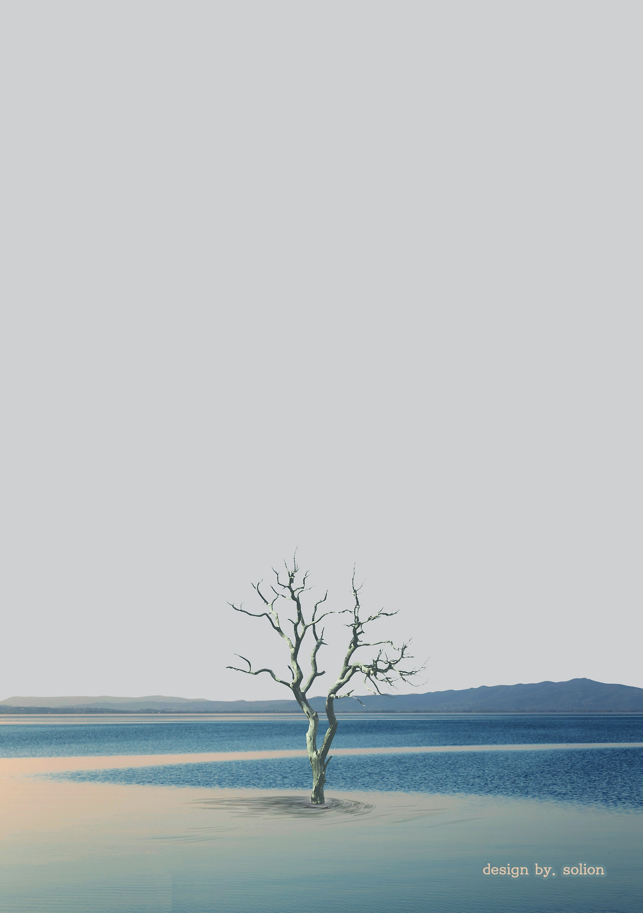 구름꽃 연작 1.jpg