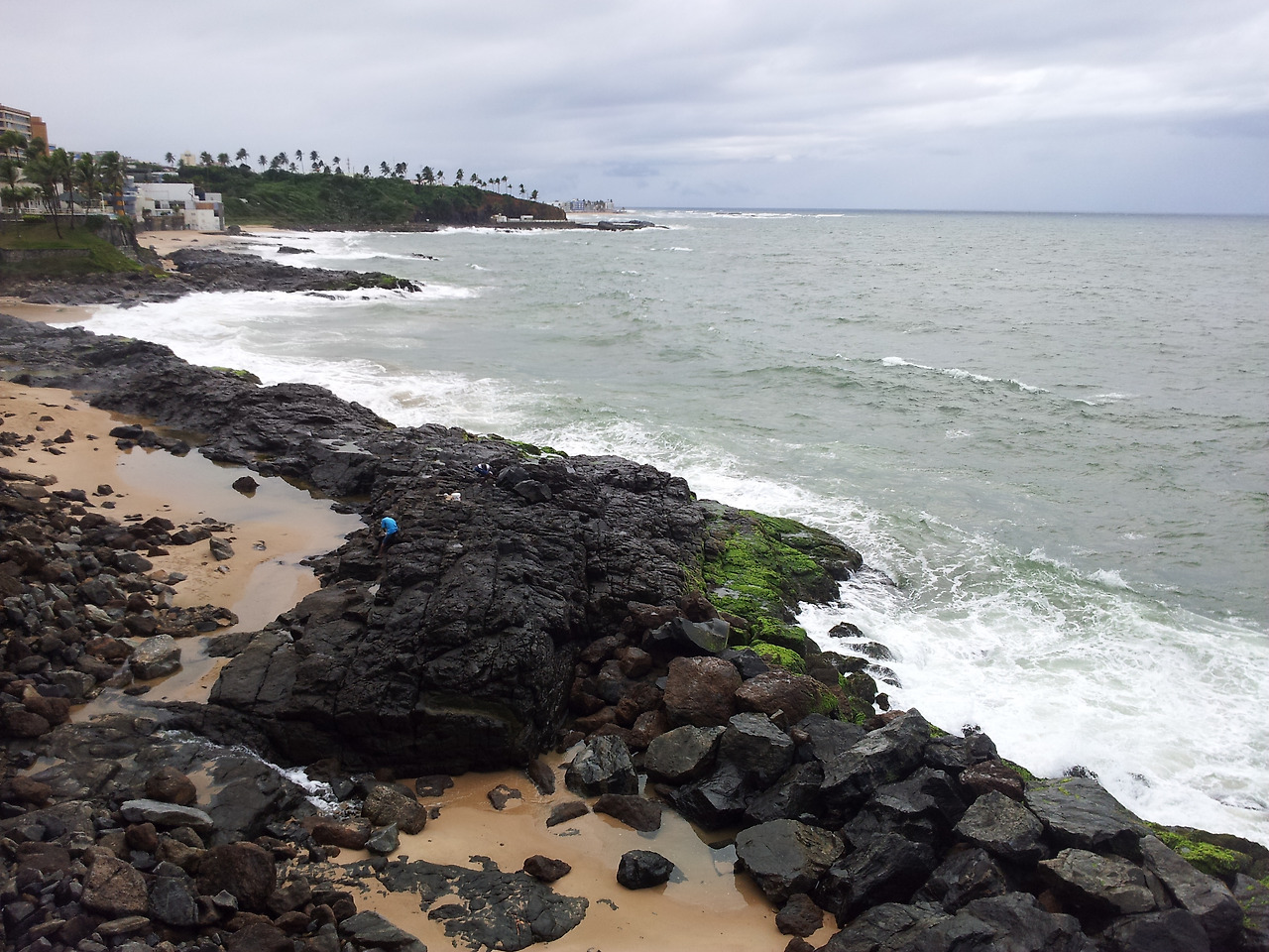 2011-08-23 08.36.25.jpg