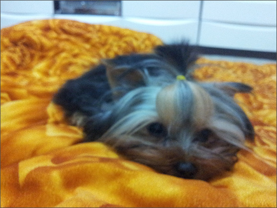 다운로드 (3).jpg