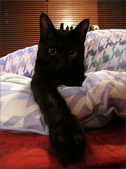 다운로드 (2).jpg