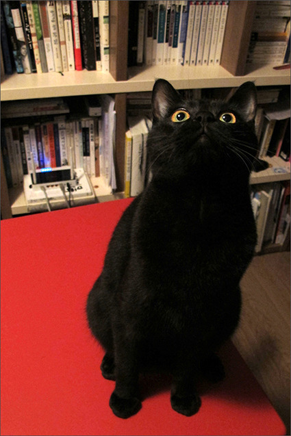 다운로드 (1).jpg