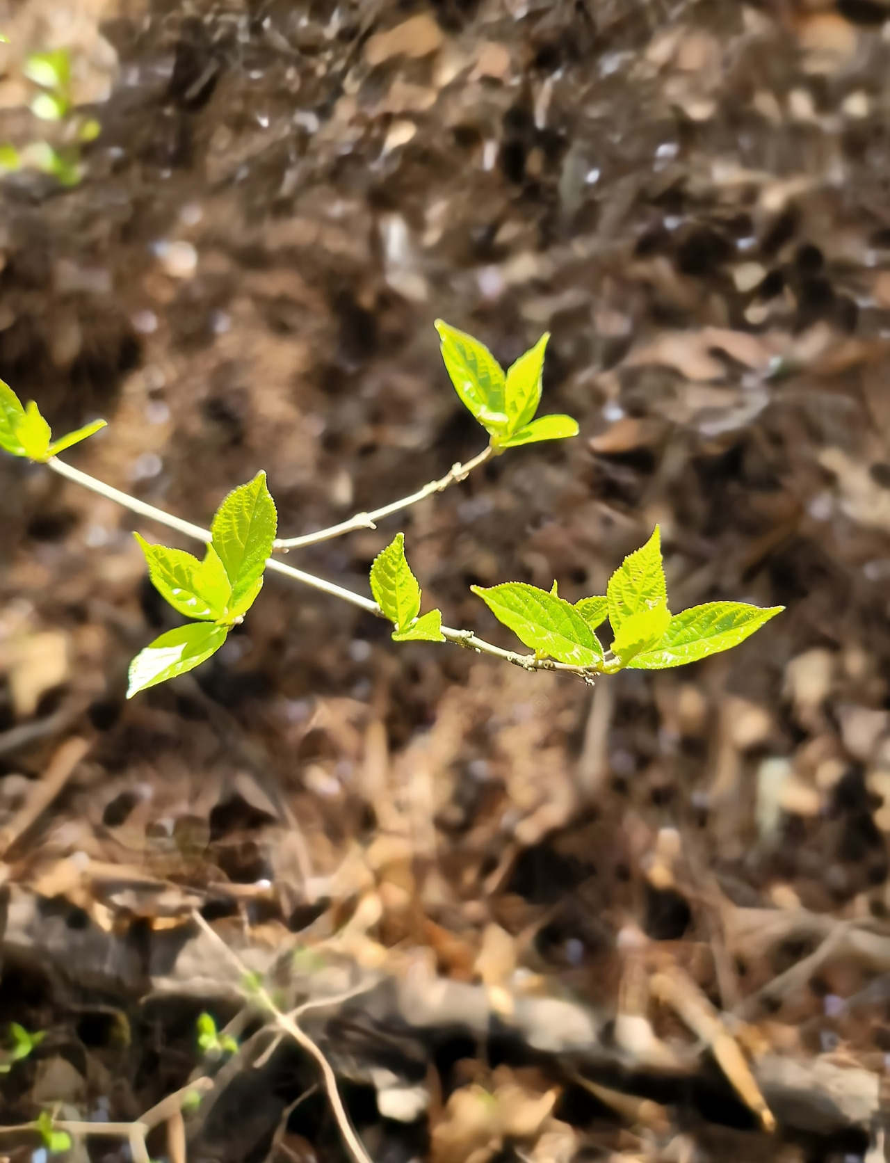 경동 36기 동문회-서울둘레길 사진들~~��-50302463525.jpg