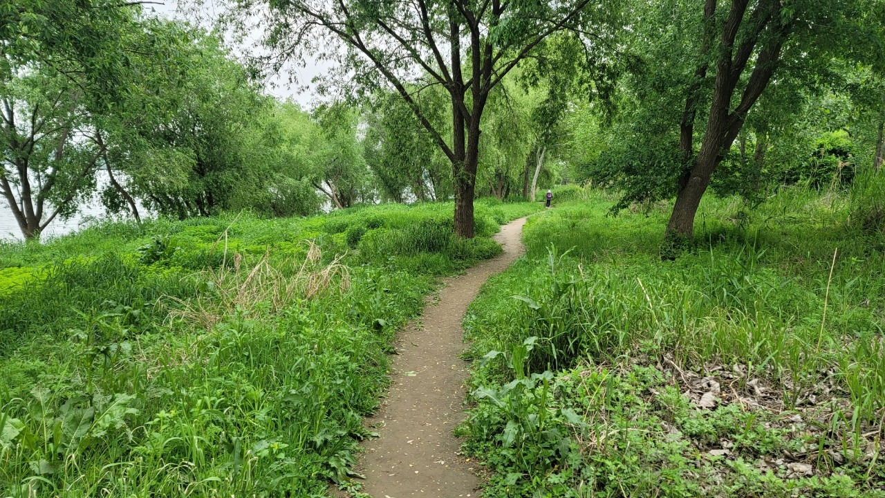 오호호호홍가족-강동ㅡ미사  강변걷기 20240507-51006027484.jpg