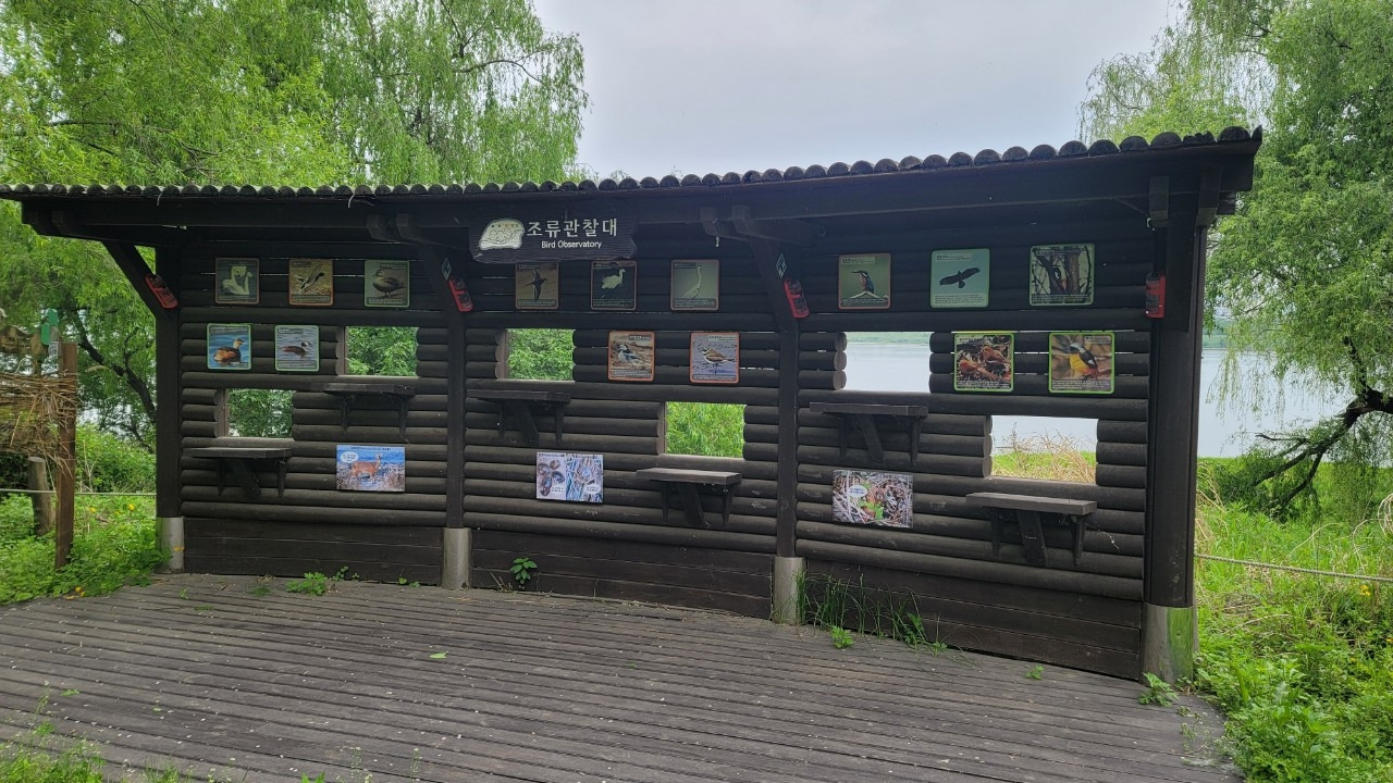 오호호호홍가족-강동ㅡ미사  강변걷기 20240507-51006027471.jpg