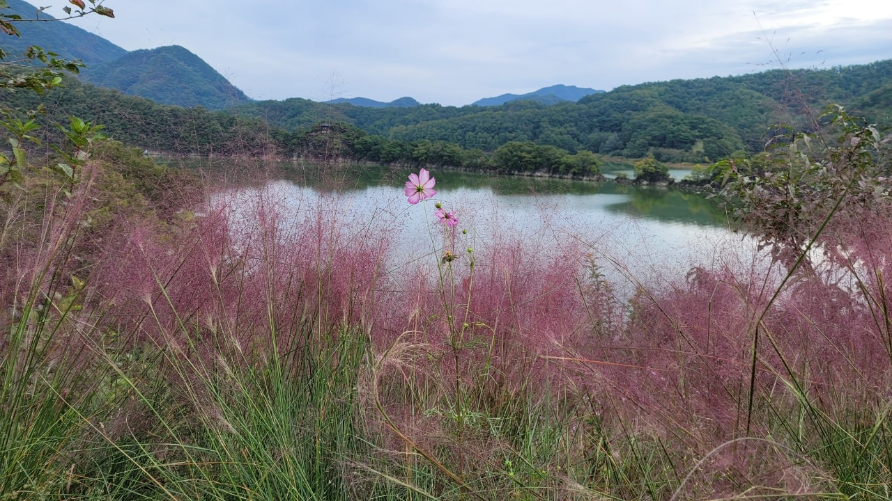 부소담악-01 (3).jpg