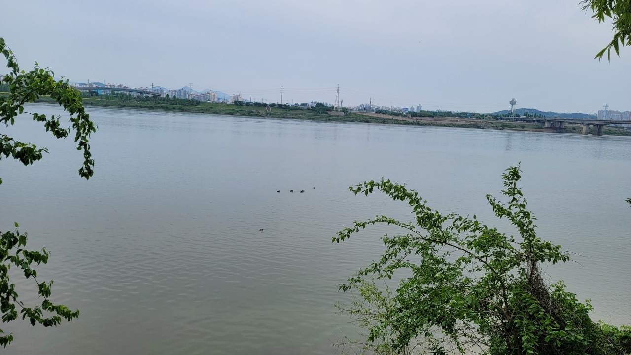 오호호호홍가족-강동ㅡ미사  강변걷기 20240507-51006027470.jpg