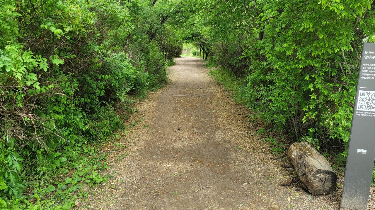 오호호호홍가족-강동ㅡ미사  강변걷기 20240507-51006027491.jpg
