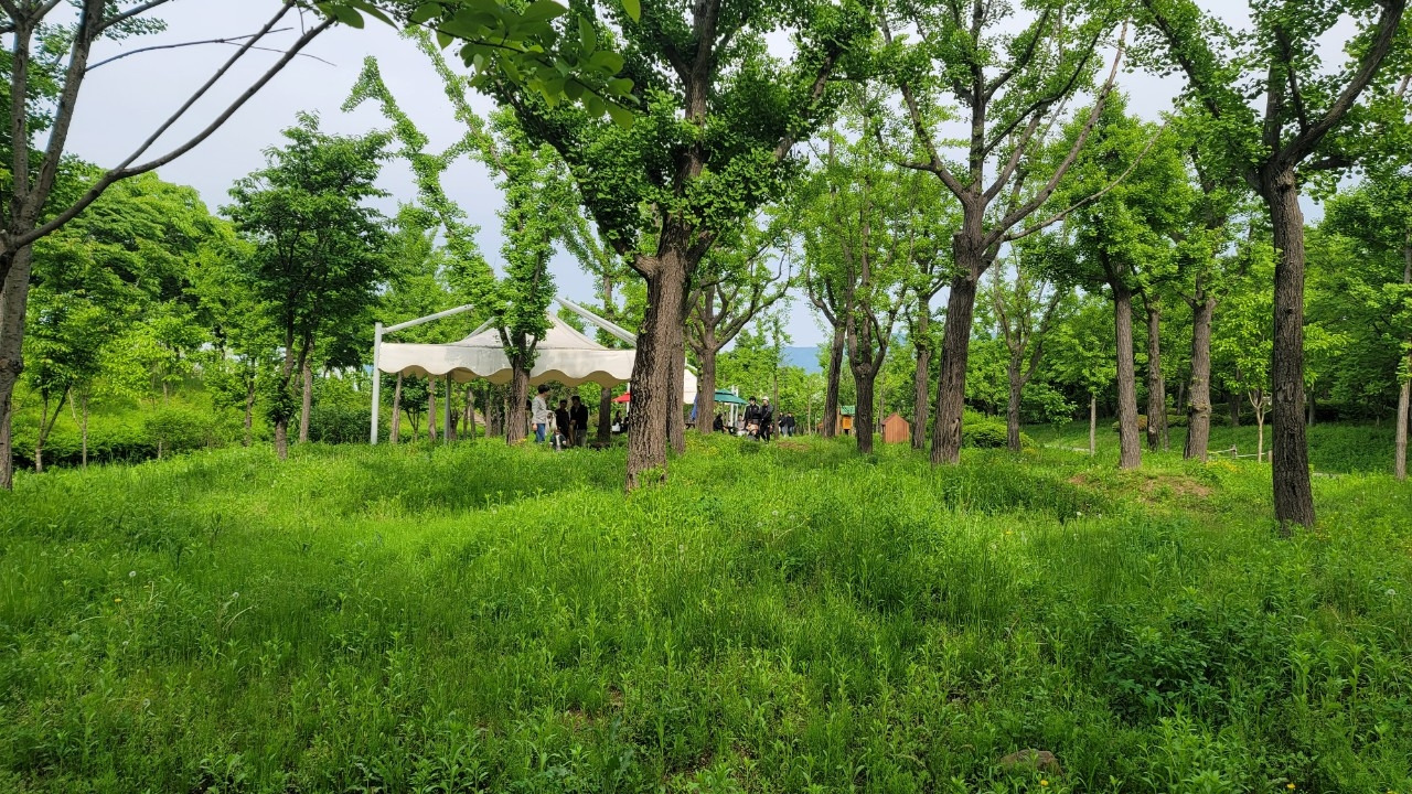 오호호호홍가족-강동ㅡ미사  강변걷기 20240507-51006027445.jpg