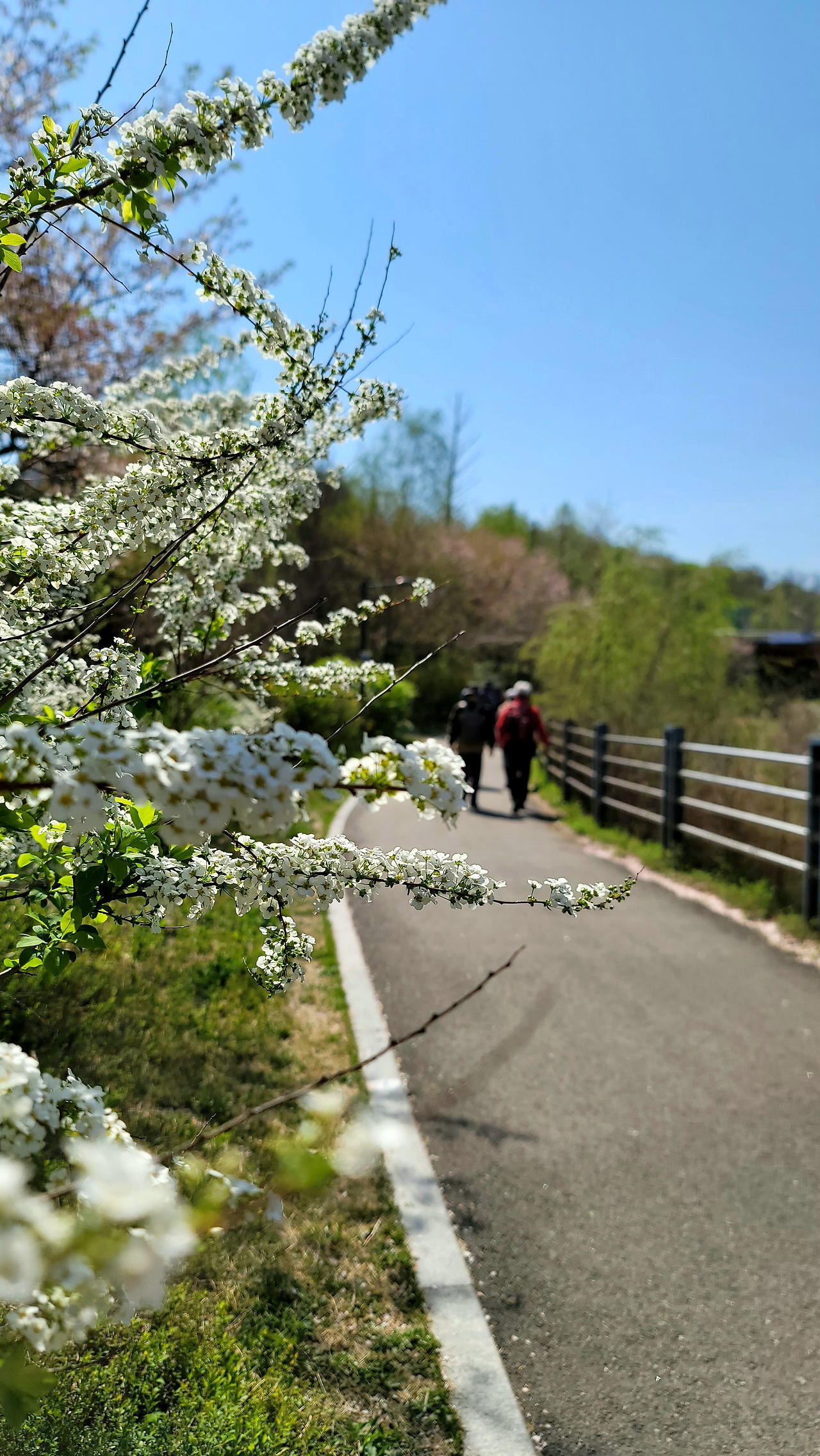 경동 36기 동문회-서울둘레길 사진들~~��-50302482004.jpg