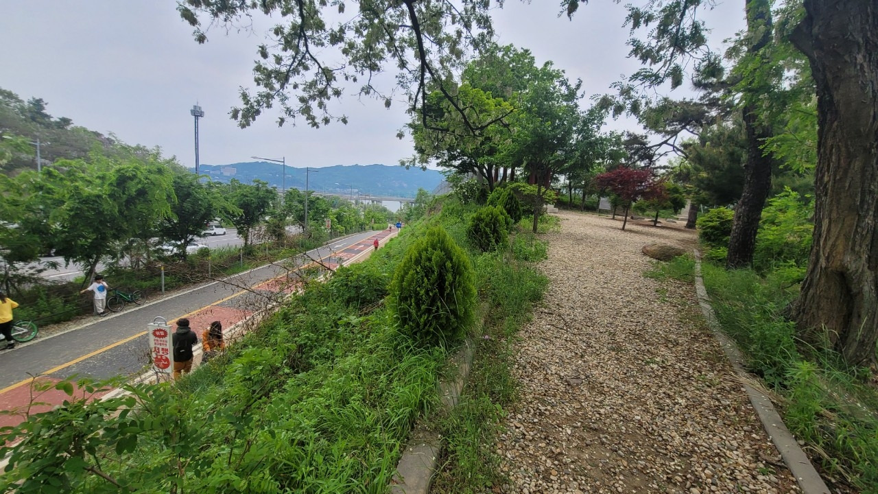 오호호호홍가족-강동ㅡ미사  강변걷기 20240507-51006027480.jpg