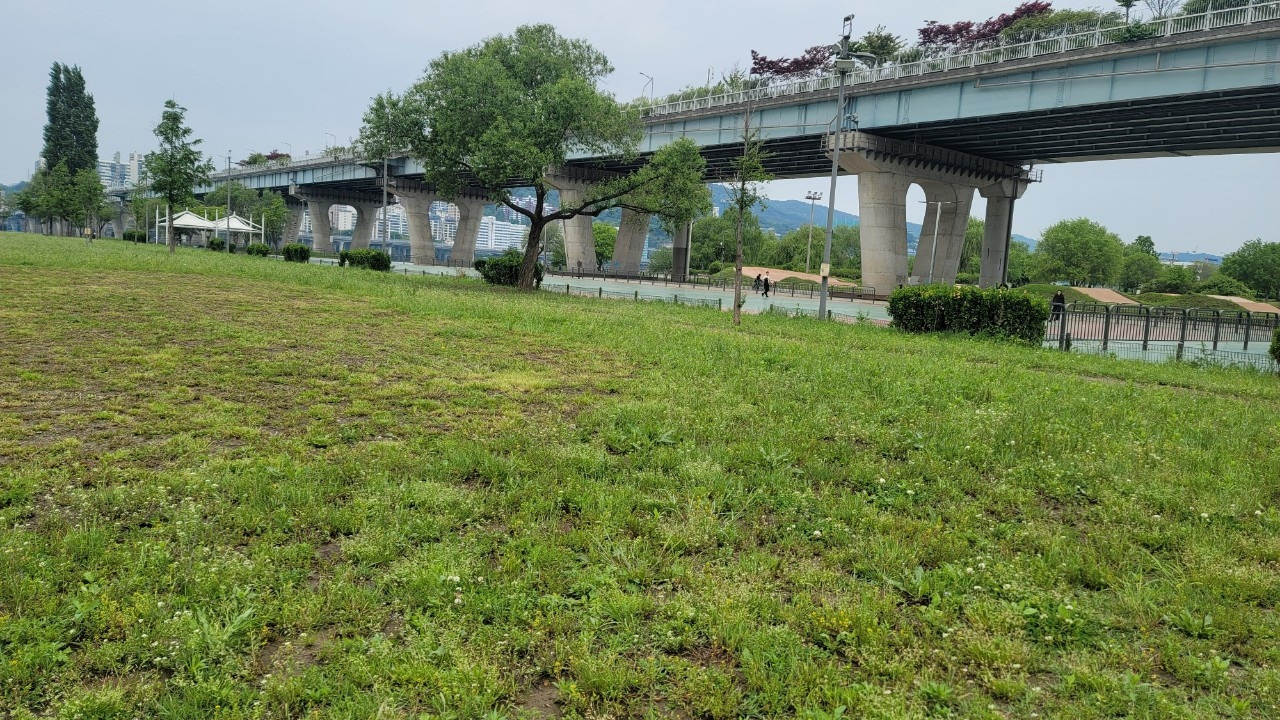 오호호호홍가족-강동ㅡ미사  강변걷기 20240507-51006027497.jpg