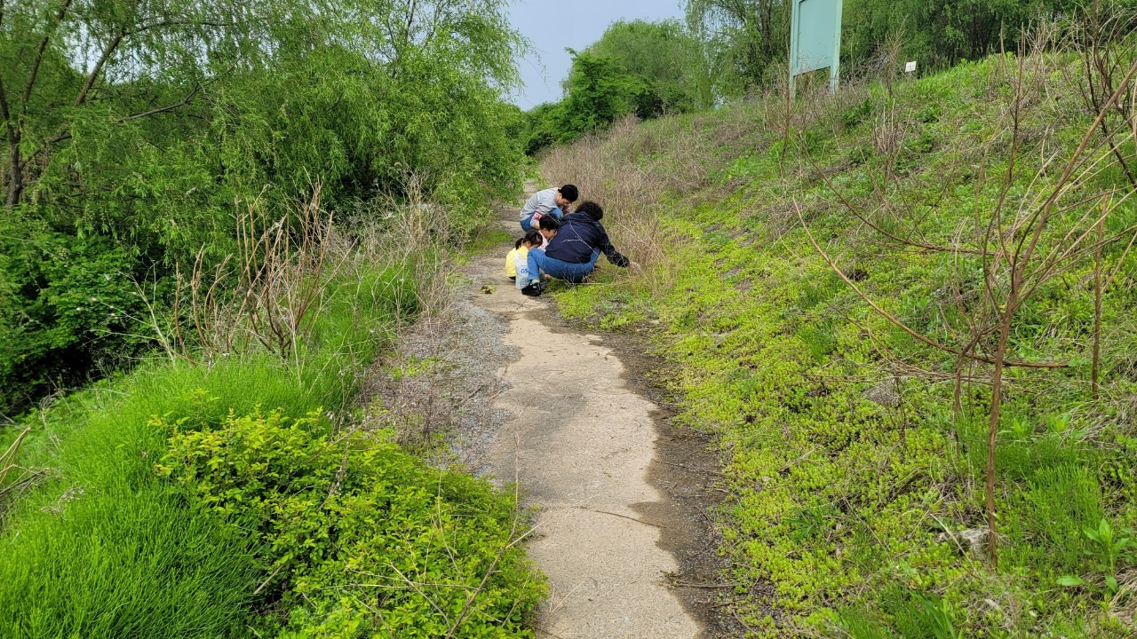 오호호호홍가족-강동ㅡ미사  강변걷기 20240507-51006027447.jpg