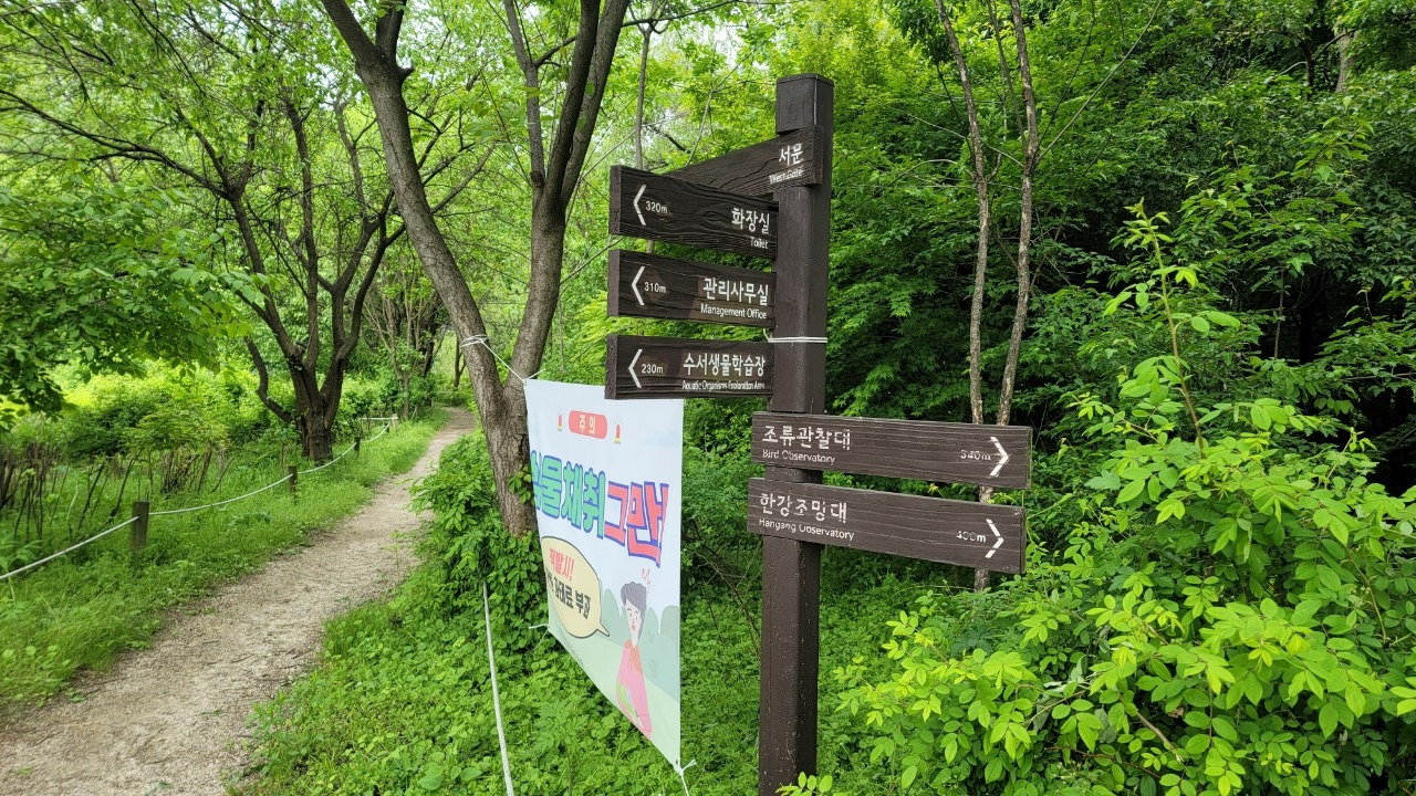 오호호호홍가족-강동ㅡ미사  강변걷기 20240507-51006027475.jpg