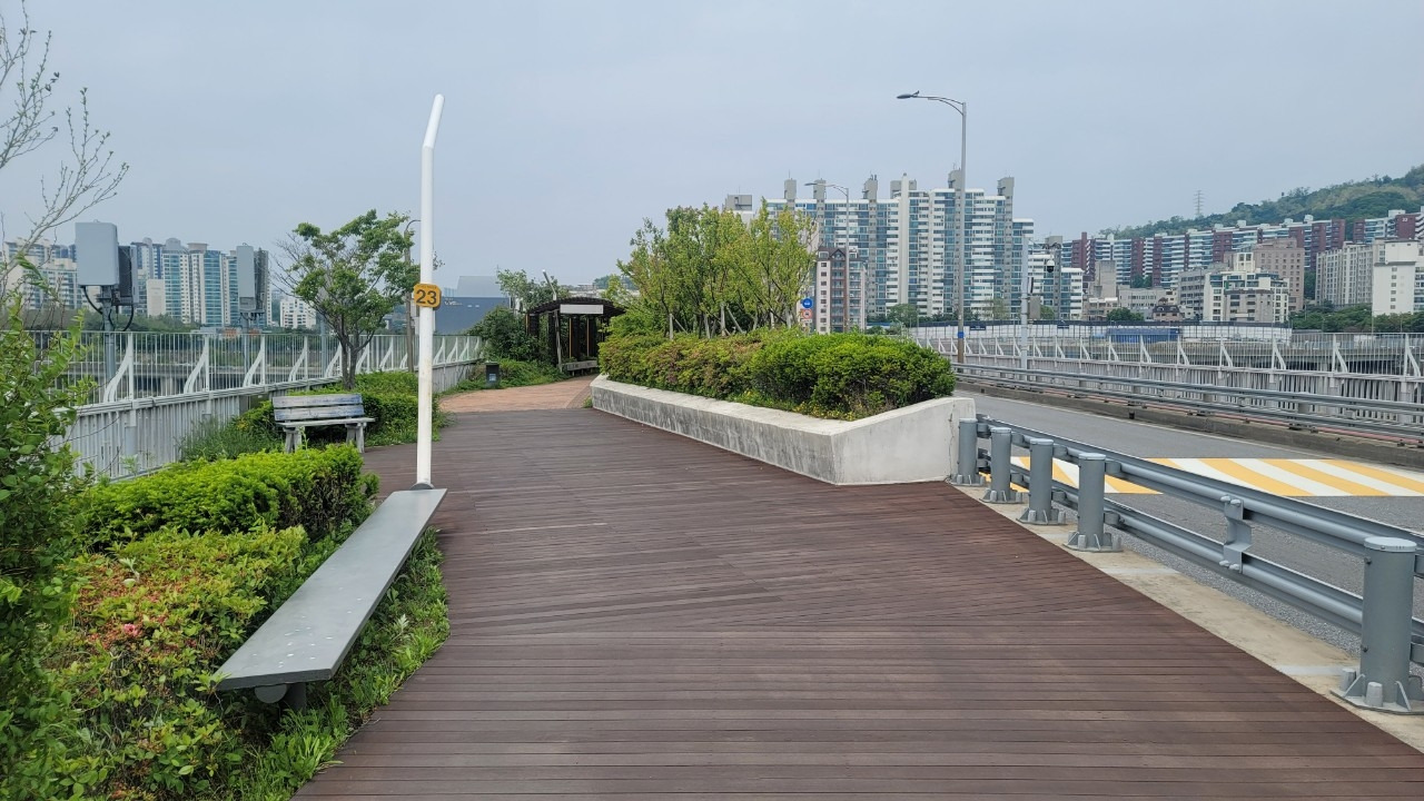 오호호호홍가족-강동ㅡ미사  강변걷기 20240507-51006027499.jpg