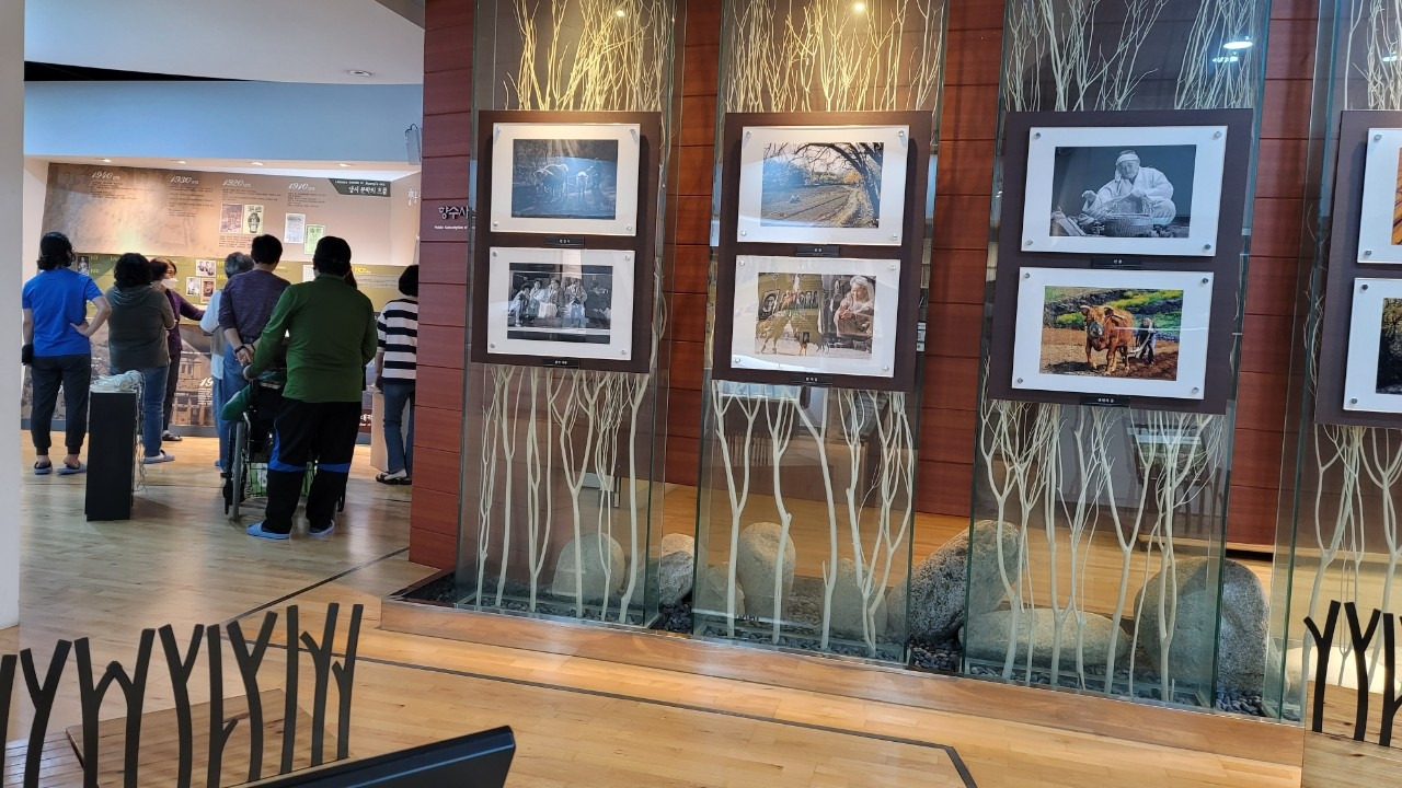 정지용생가 (5).jpg