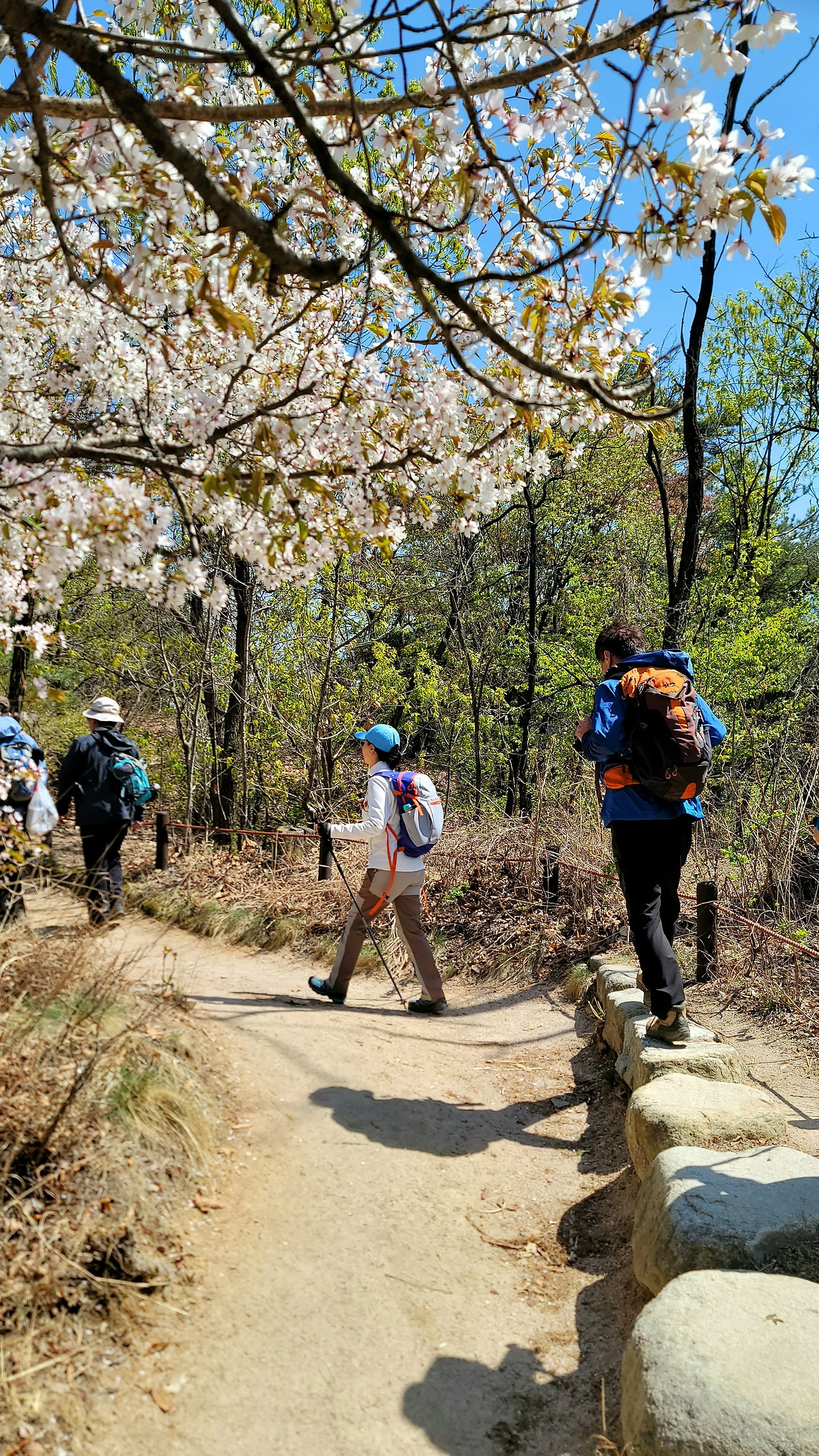 경동 36기 동문회-서울둘레길 사진들~~��-50302463437.jpg