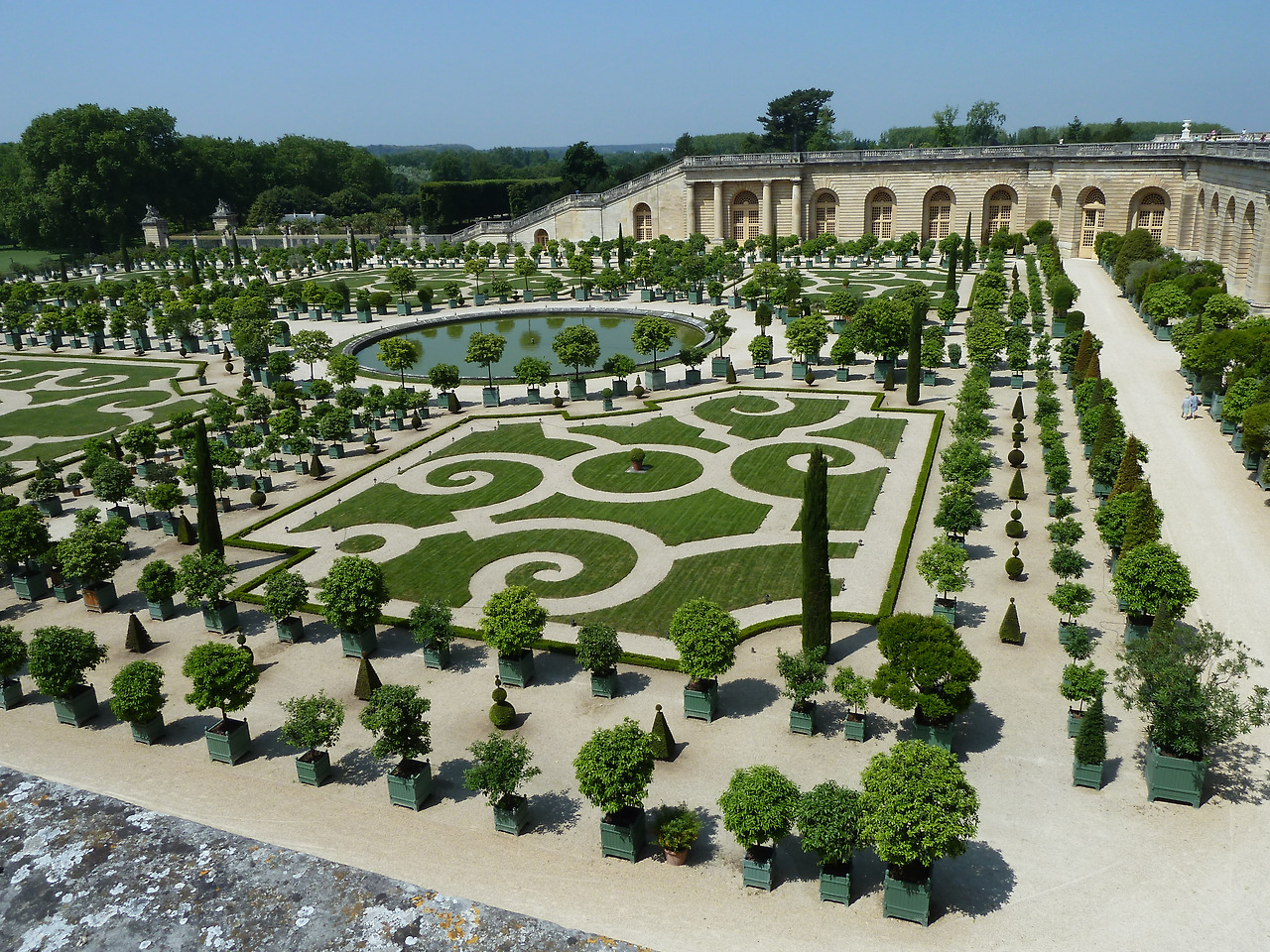 Château_de_Versailles_orangerie 1.jpg