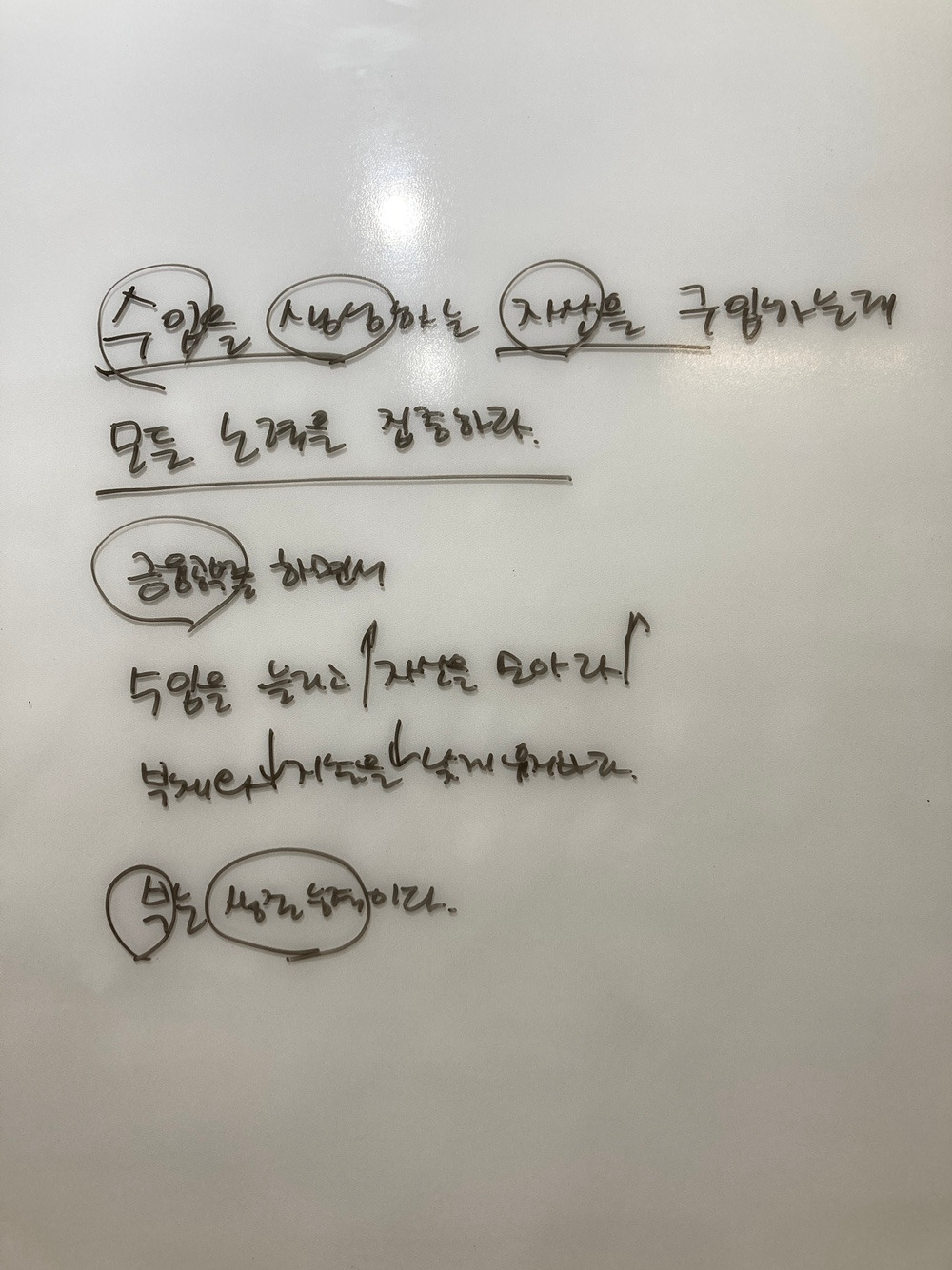 KakaoTalk_20241203_080214821_11.jpg