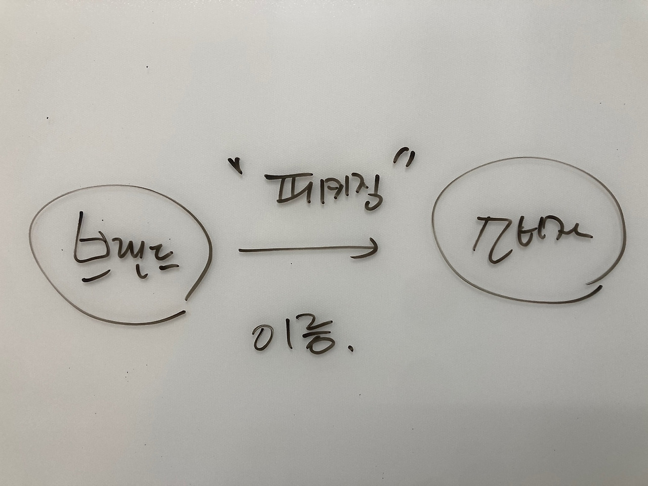 KakaoTalk_20250211_070905247_07.jpg
