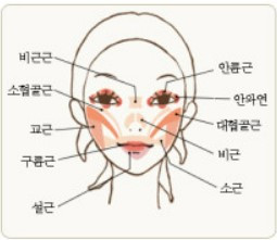 화면 캡처 2022-11-30 210029.jpg