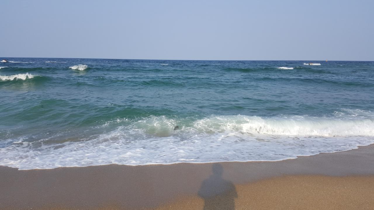 동해 수평선.jpg