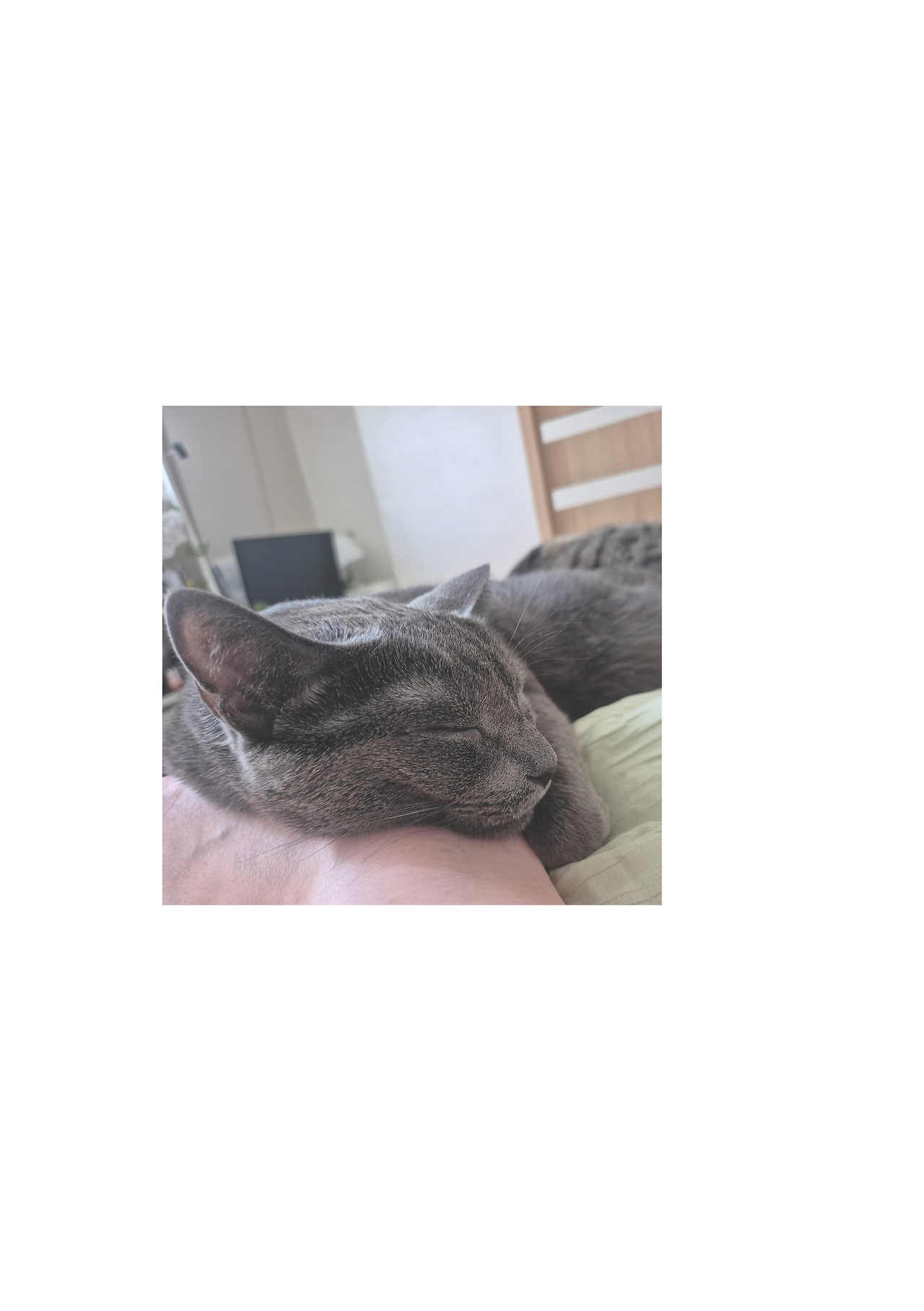 묘하게 사는법_본문 최종 완료34.jpg