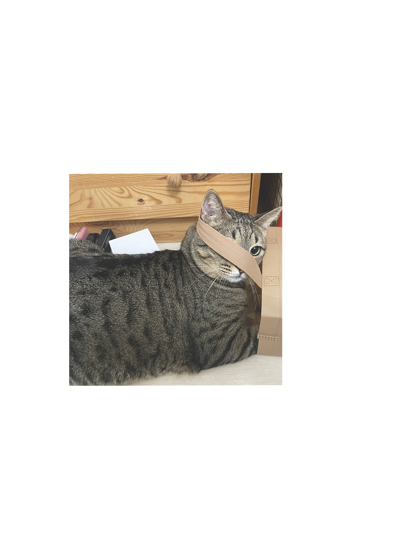 묘하게 사는법_본문 최종 완료30.jpg