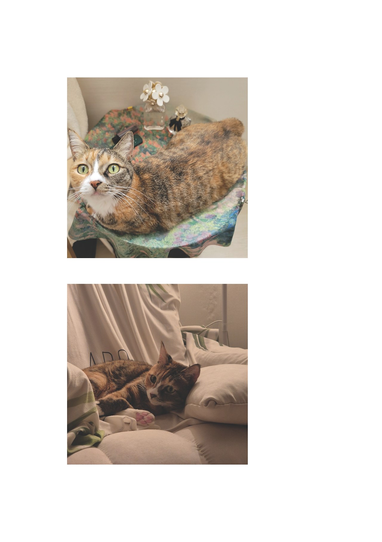 묘하게 사는법_본문 최종 완료20.jpg