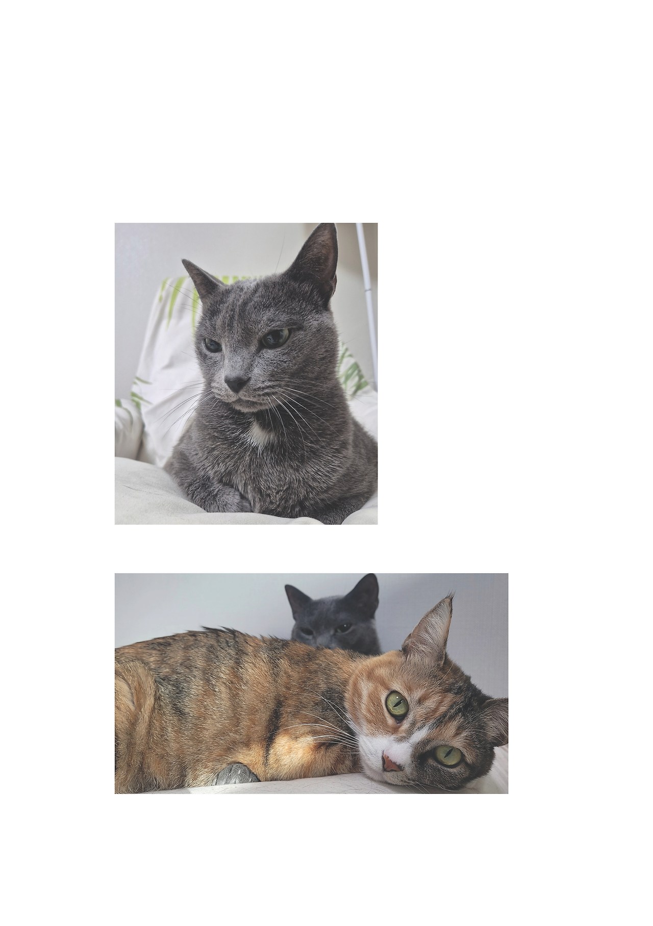 묘하게 사는법_본문 최종 완료8.jpg