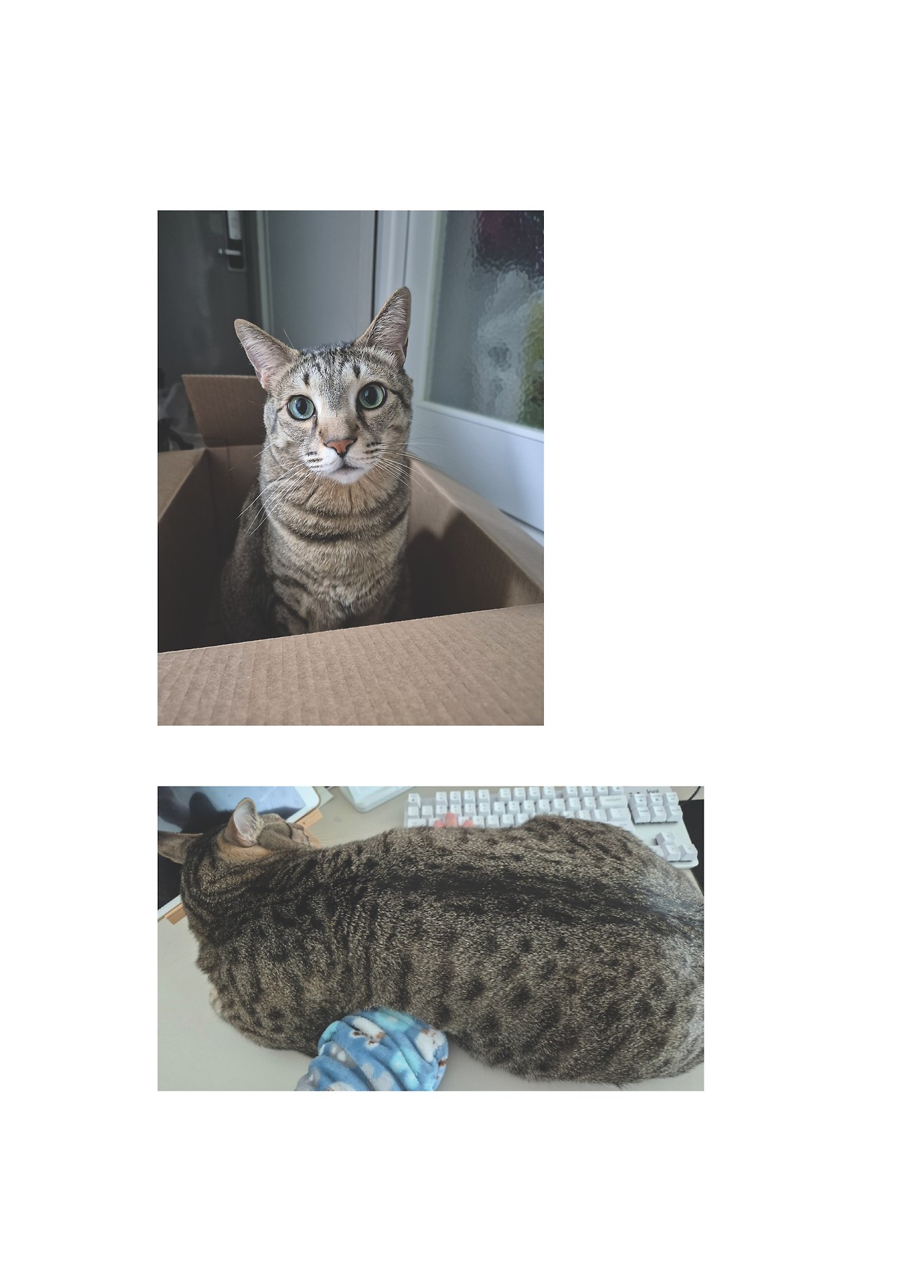 묘하게 사는법_본문 최종 완료16.jpg