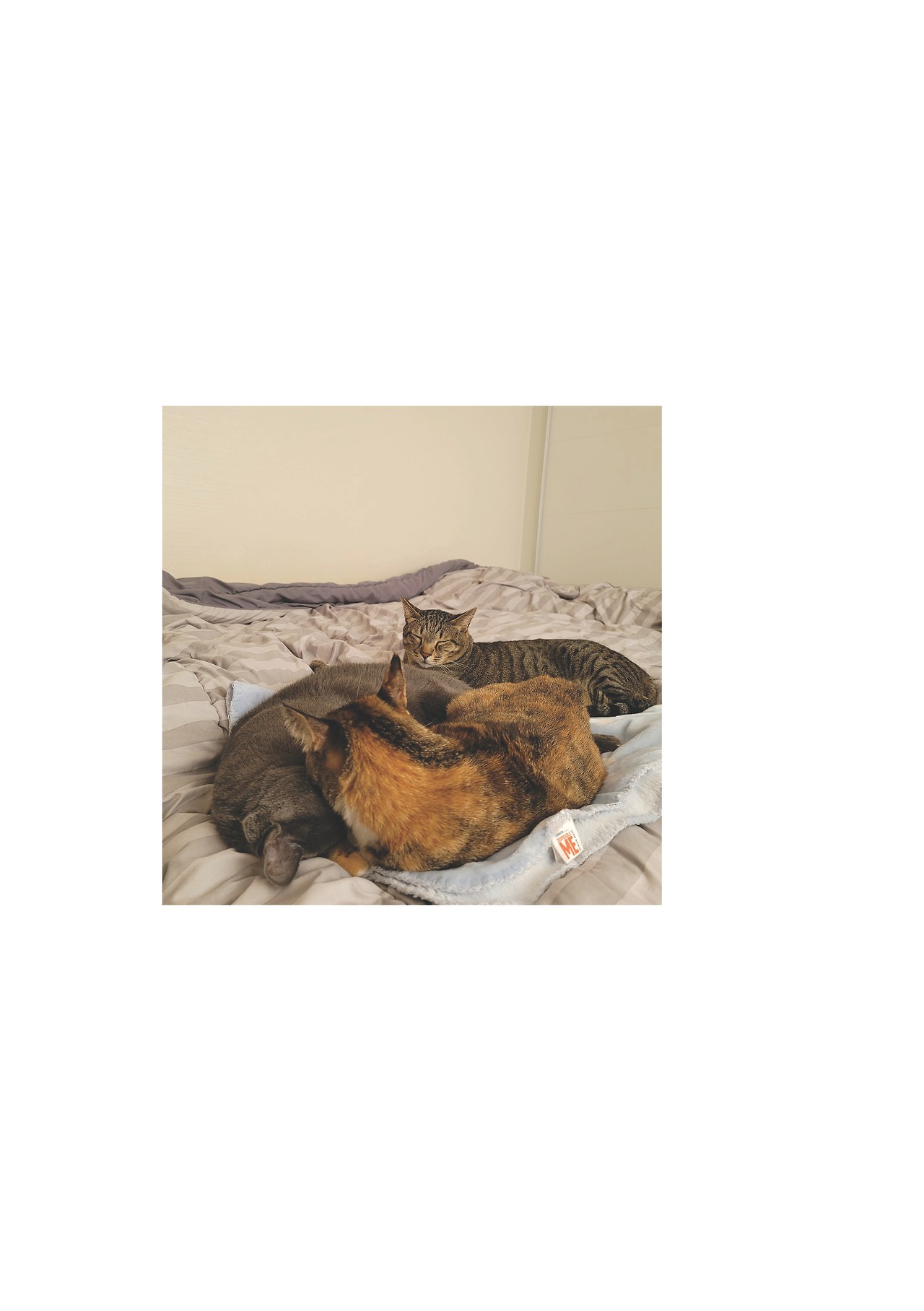 묘하게 사는법_본문 최종 완료38.jpg