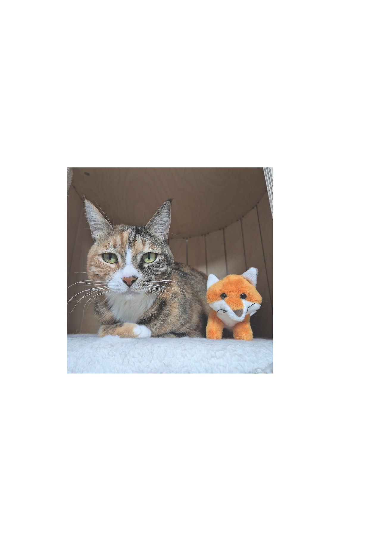 묘하게 사는법_본문 최종 완료44.jpg