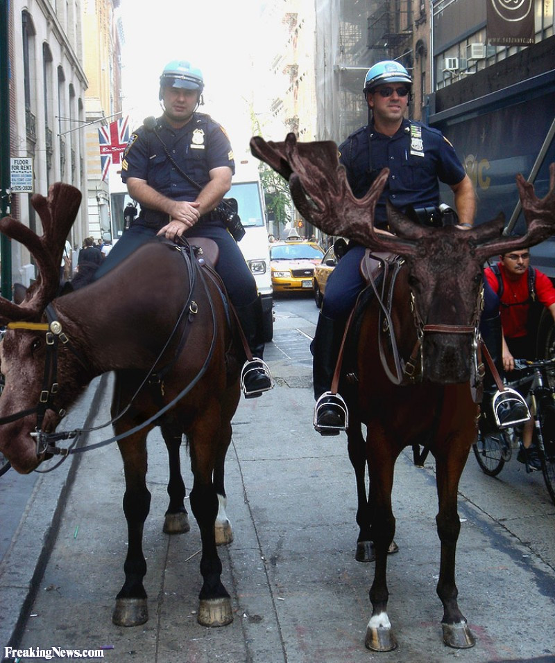 Mounted-Police-on-Deer-Horses--58967.jpg