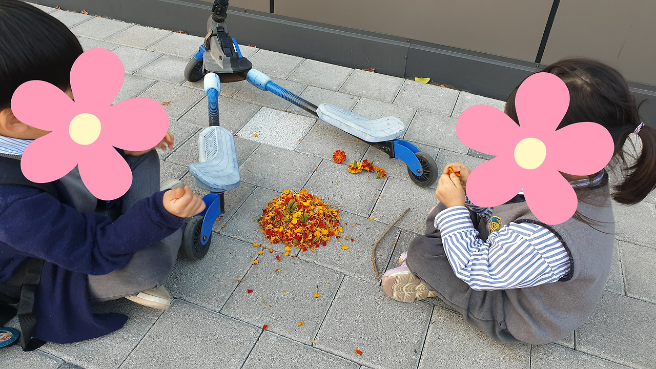 꽃볶음밥 (2).jpg