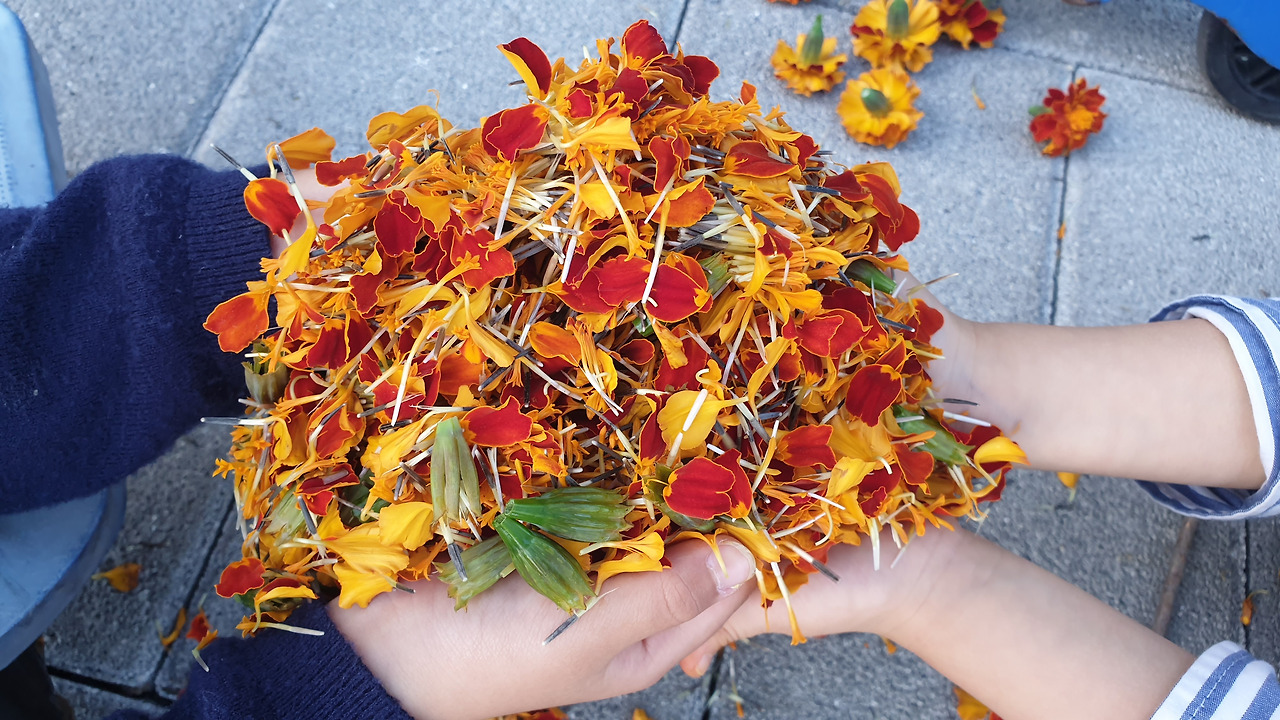 꽃볶음밥 (1).jpg