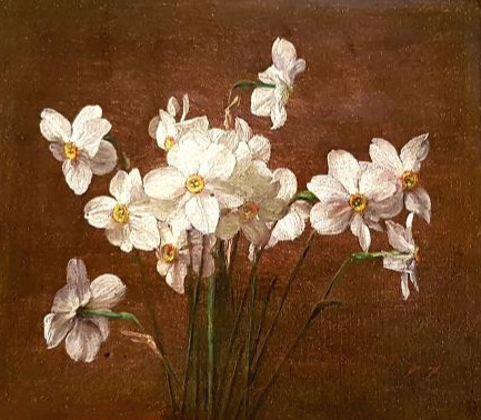 narcissus.jpg