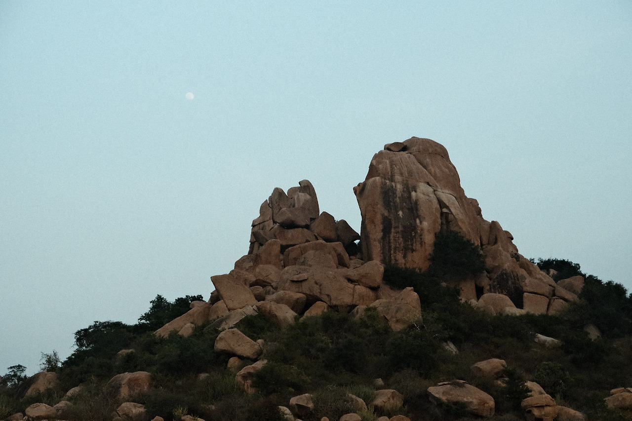 카지노 게임 사이트